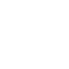 Defensive Bayonet Icon