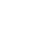 Elusive Icon
