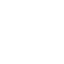 Nimble Icon