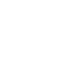 Fury Icon