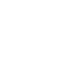 Sonic Capsule Icon