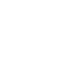 Shield Icon