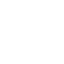 Expertise Icon
