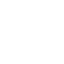 Sprint Icon